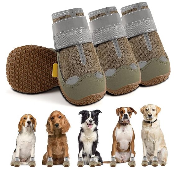Dog Shoes for Hot Pavement-Large Dog