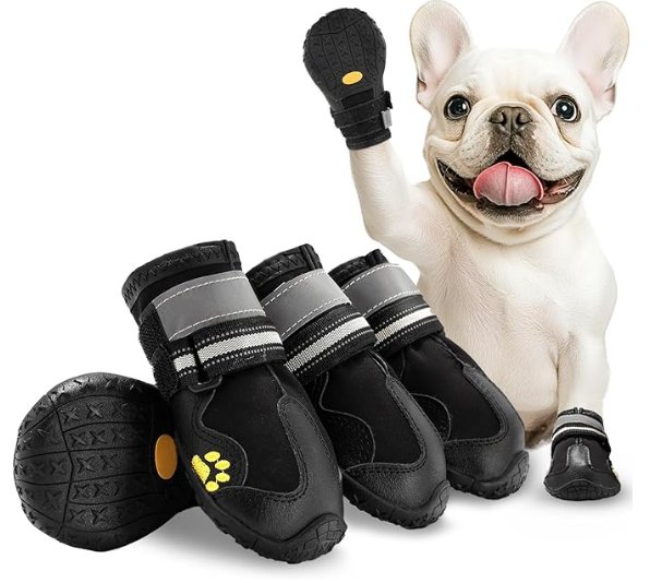 Dog Shoes for Small Dogs