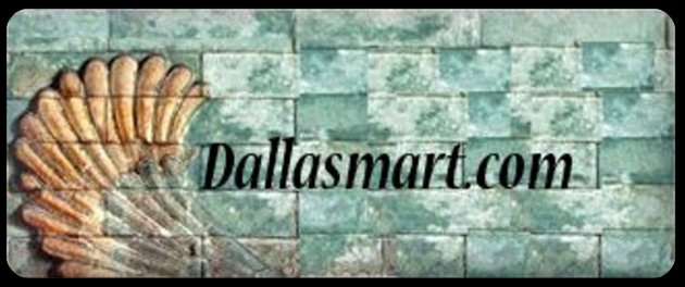 Dallasmart.com